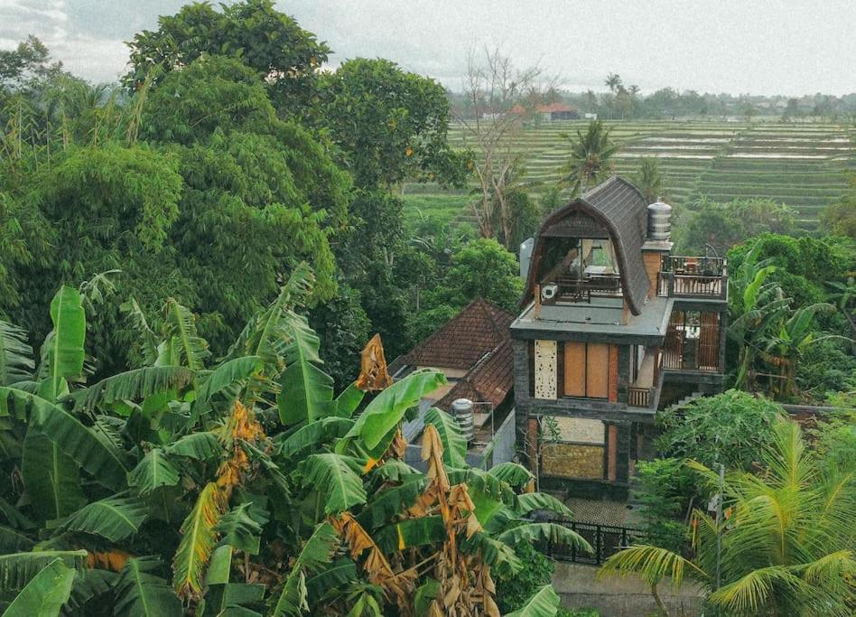 Tori Klumpu, 3 Bedroom Artistic Villa, Dual Views Near Ubud بادونج المظهر الخارجي الصورة